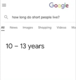 How Long Do Short People Live Meme