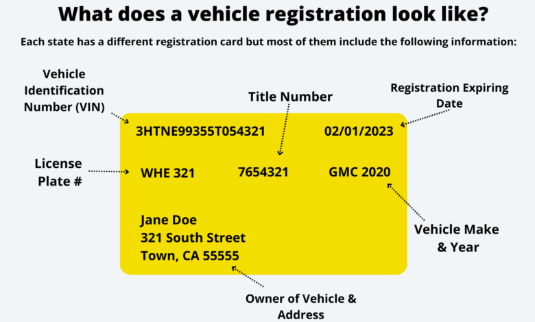 What Does a Car Registration Look Like