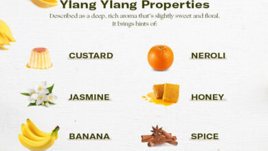 What Does Ylang Ylang Smell Like