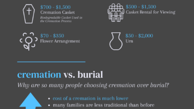 How Much is Cremation